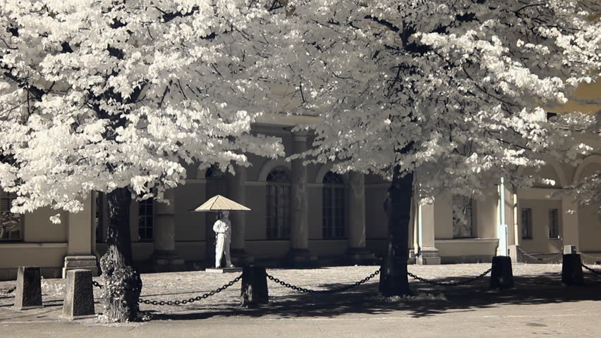 Infrared Finland: guard of honour near Finnish President headquarters 1 