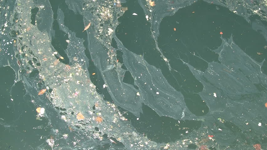 Trash Floating On Water