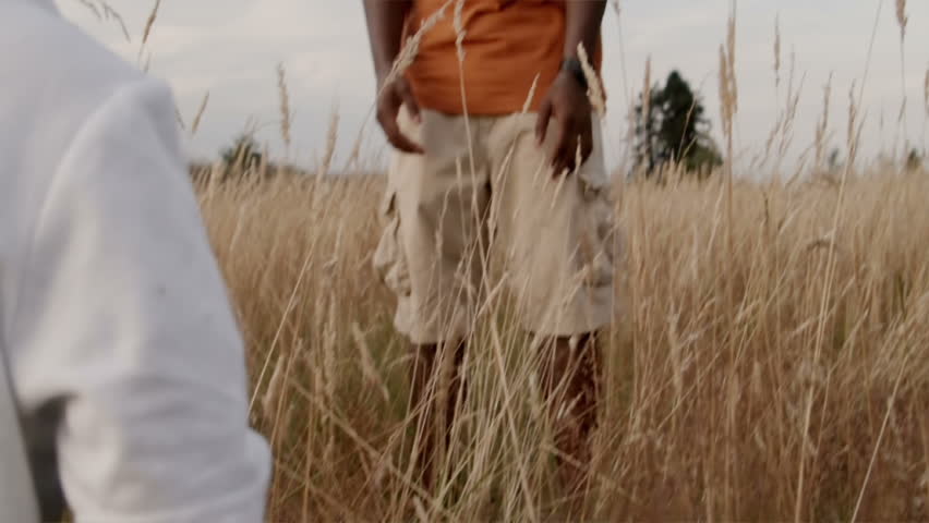 A father and son play in a wheat field on a sunny day.