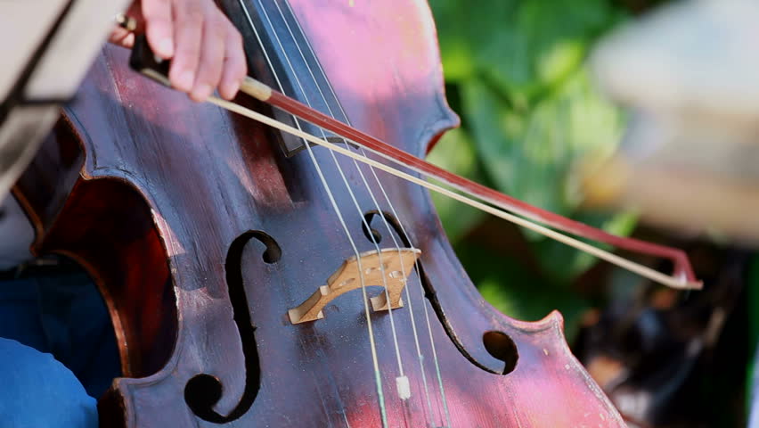 Woman plays on the contrabass. Woman played professionally solo contrabass. Two frame. The background is blurred.