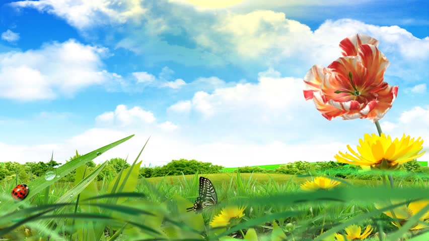 Day turning night over a beautiful meadow, with butterflies, flowers, fireflies, all animated.