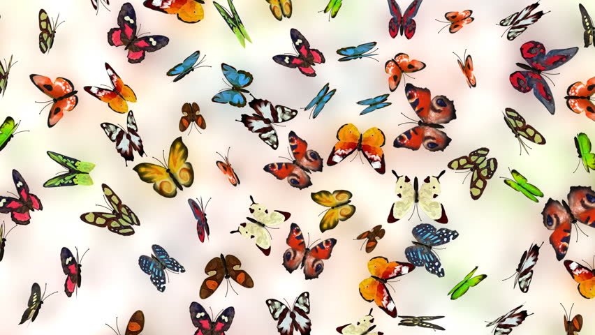 butterflies background, 3d animation