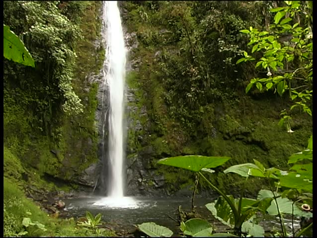 Cloudforest waterfall near Mindo, Ecuador