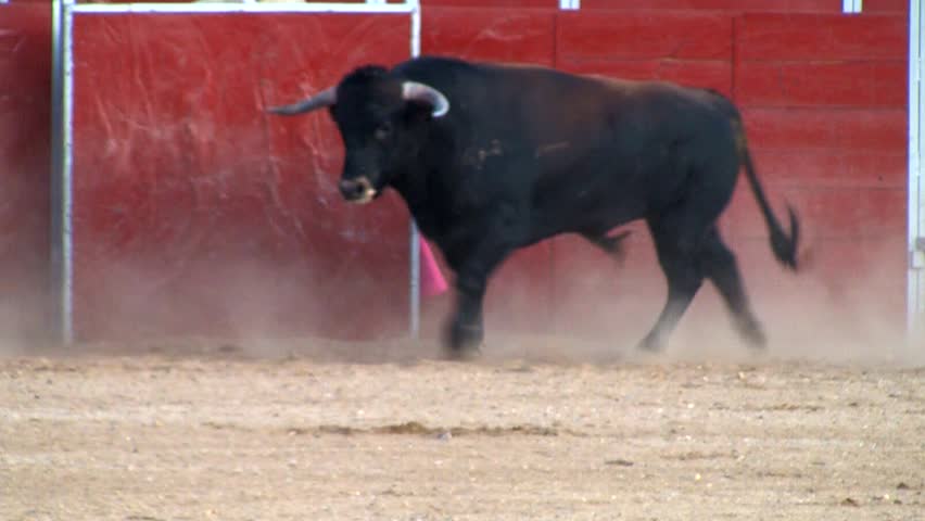 Spanish bullfight