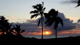 Palm Trees are silhouetted against a sunset with storm clouds over the ocean in Hawaii.
