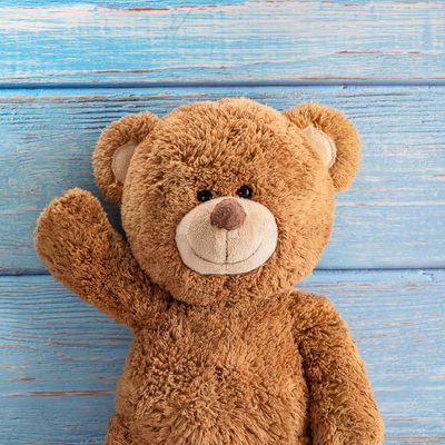 teddy bear for 1 year old