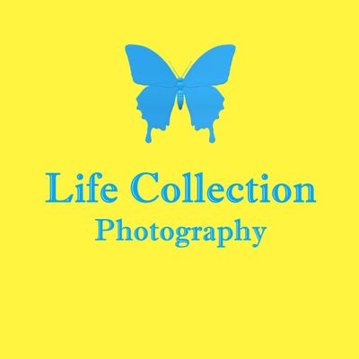 LifeCollectionPhotography