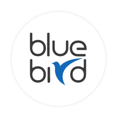 STUDIO-BLUEBIRD