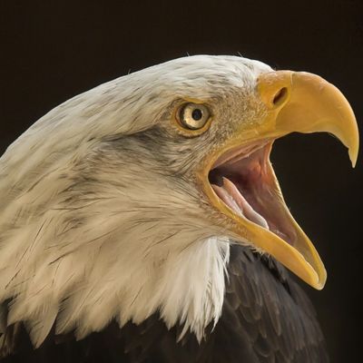 Joe_Biden