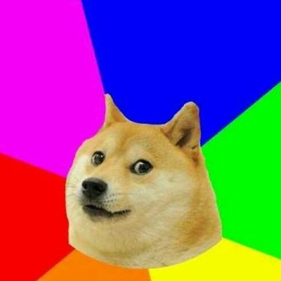Картинки мемов разноцветных животные EzDogie Shutterstock