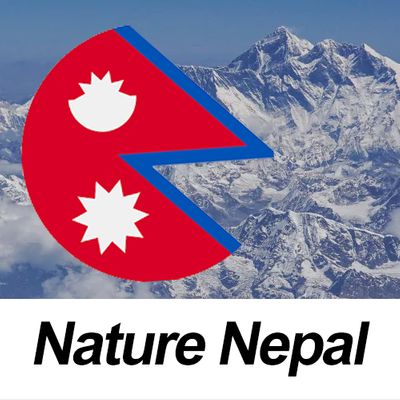 Worldlink nepal
