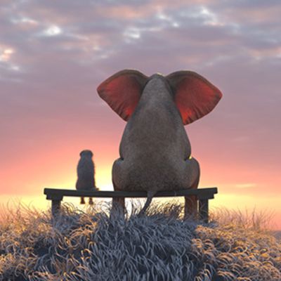 Elephant Dog Sit Under Rain Stock Illustration 126168029