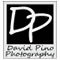 DavidPinoPhotography