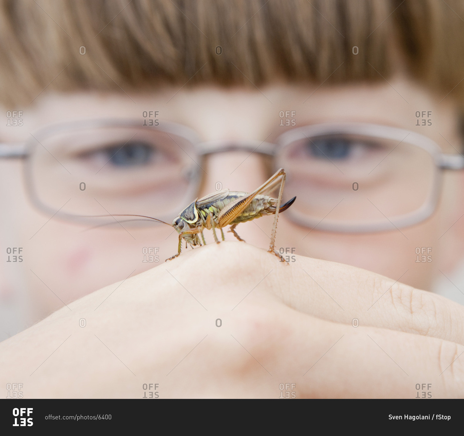 A cricket on the hand of a boy
