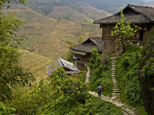 A man walking down a Dong village footpath near terraced rice paddies, Guangxi, China