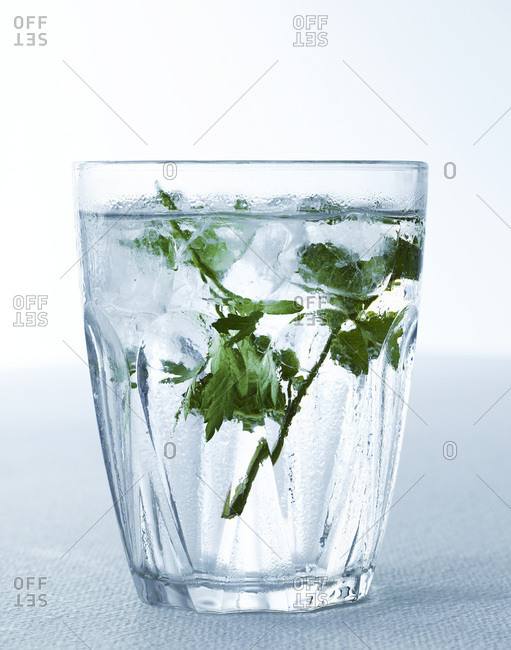Glass of vodka with ice cubes and greens.