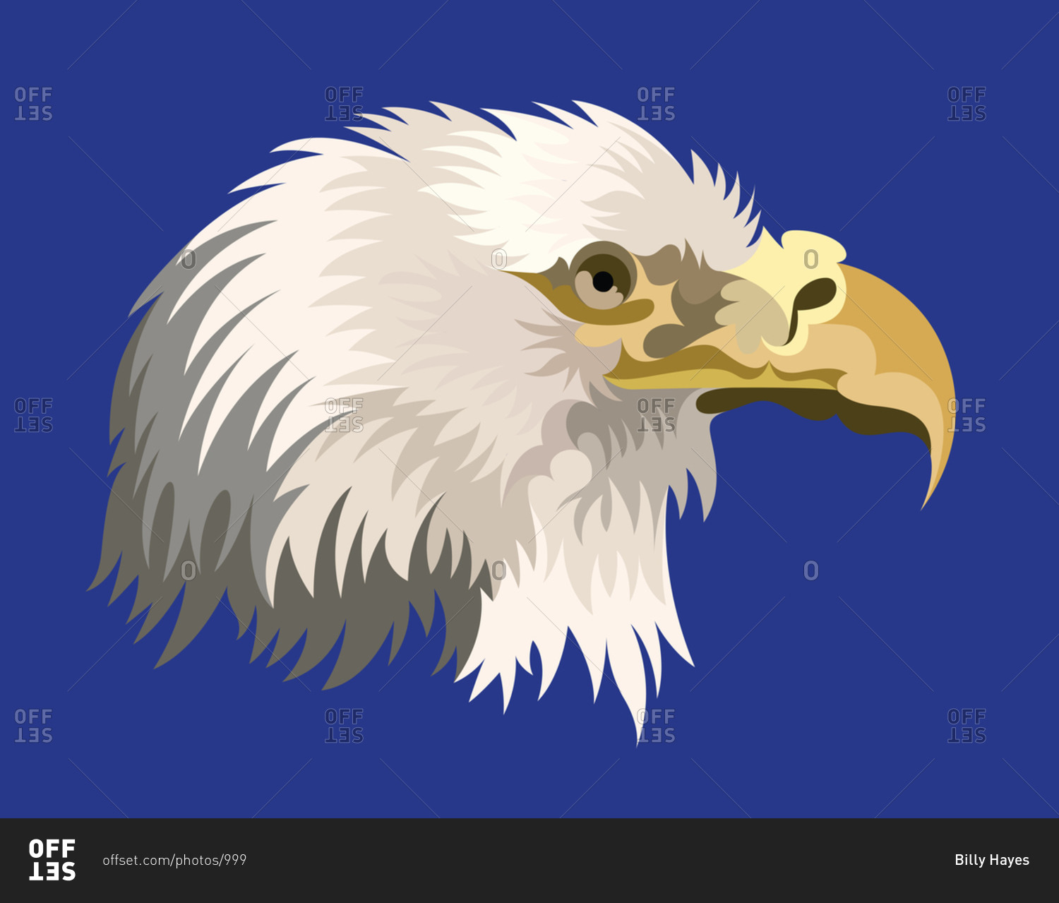 A war eagle portrait