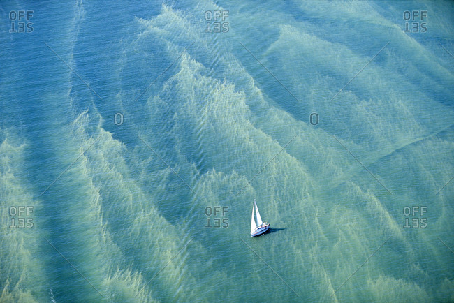 A sailing boat in the ocean with algal bloom,  Sweden.