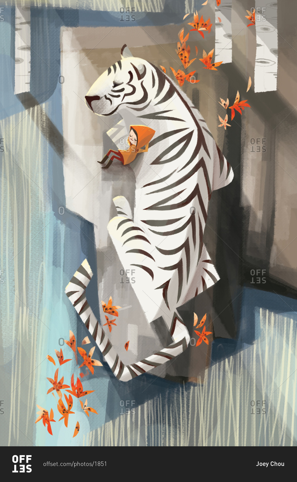Young boy napping with white tiger