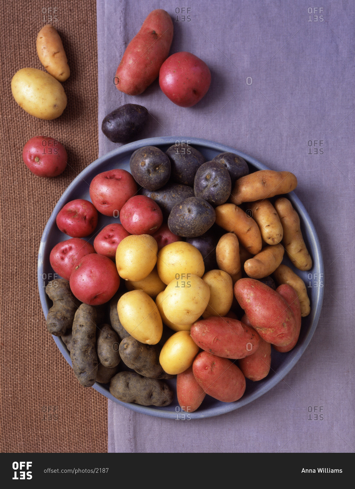 Different types of potato from above on a purple tablecloth