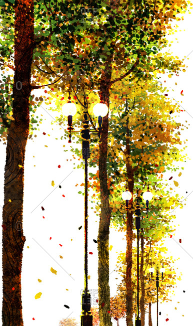 Autumn Tree And Street Light