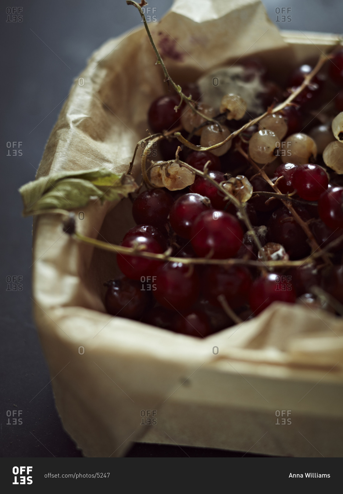 Close-up of white and red currant in a fruit box.