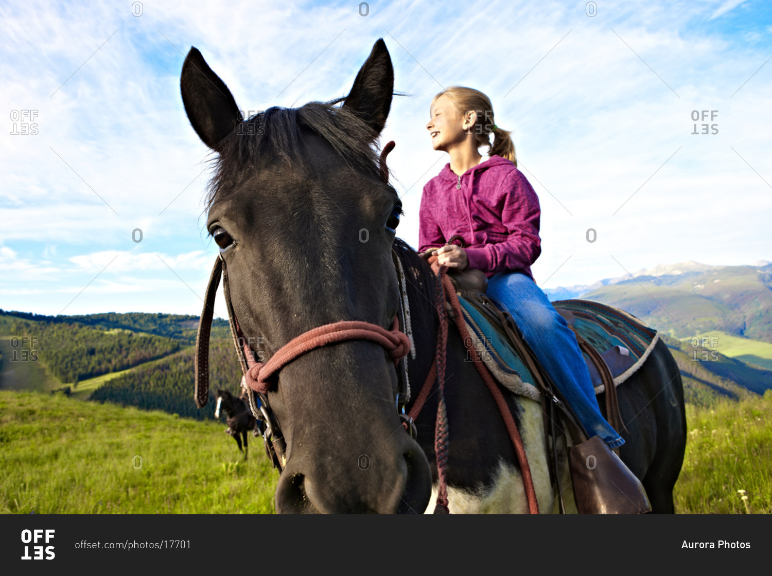 A girl sits in the saddle enjoys an early morning horseback adventure in a high alpine mountain Summer meadow.