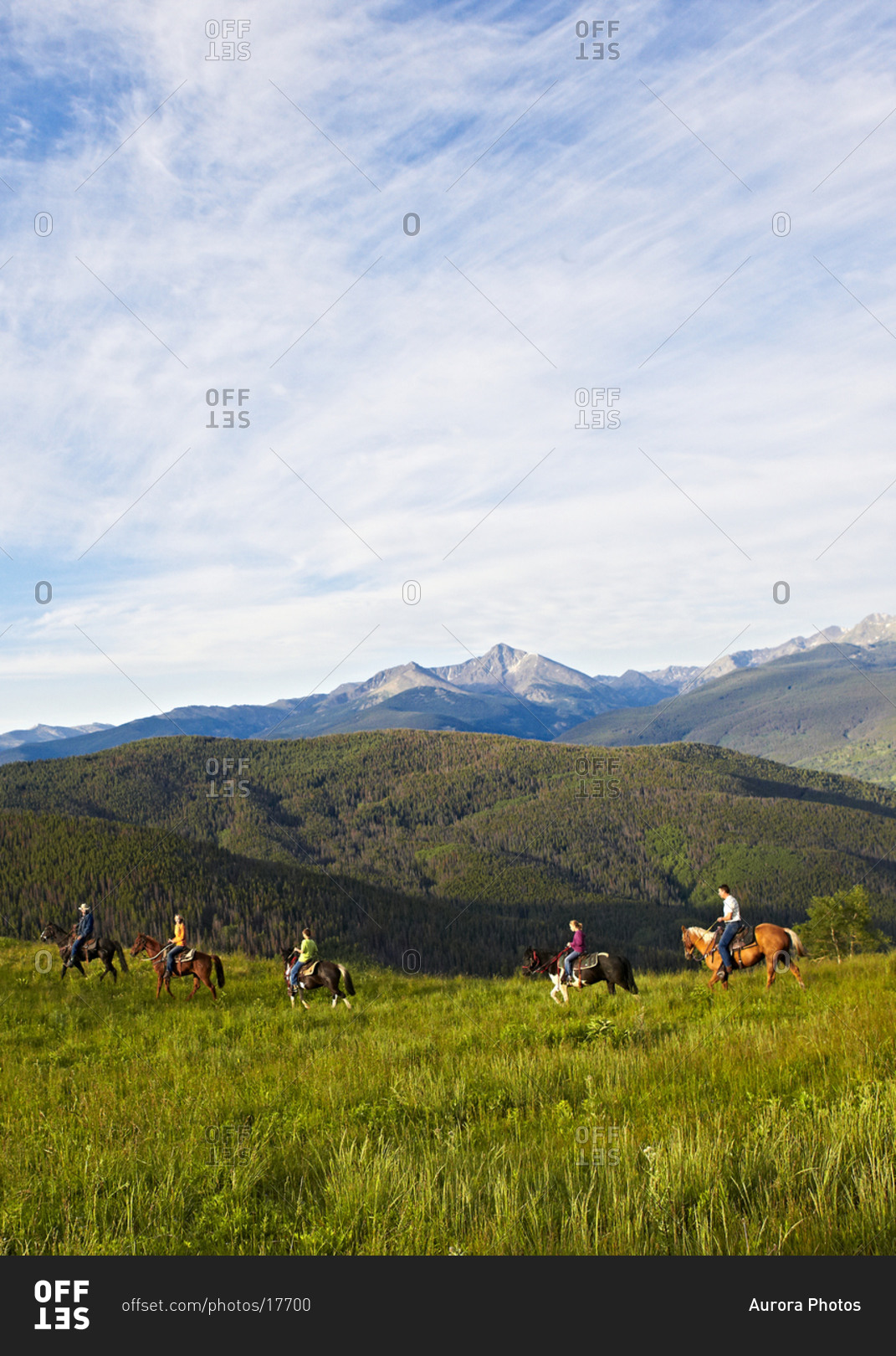 A group of riders enjoys an early morning horseback adventure in a high alpine mountain Summer meadow.