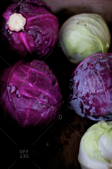 Green and purple cabbage heads