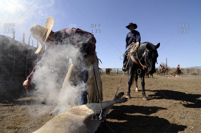 Two cowboys talking in ranch stock photo - OFFSET