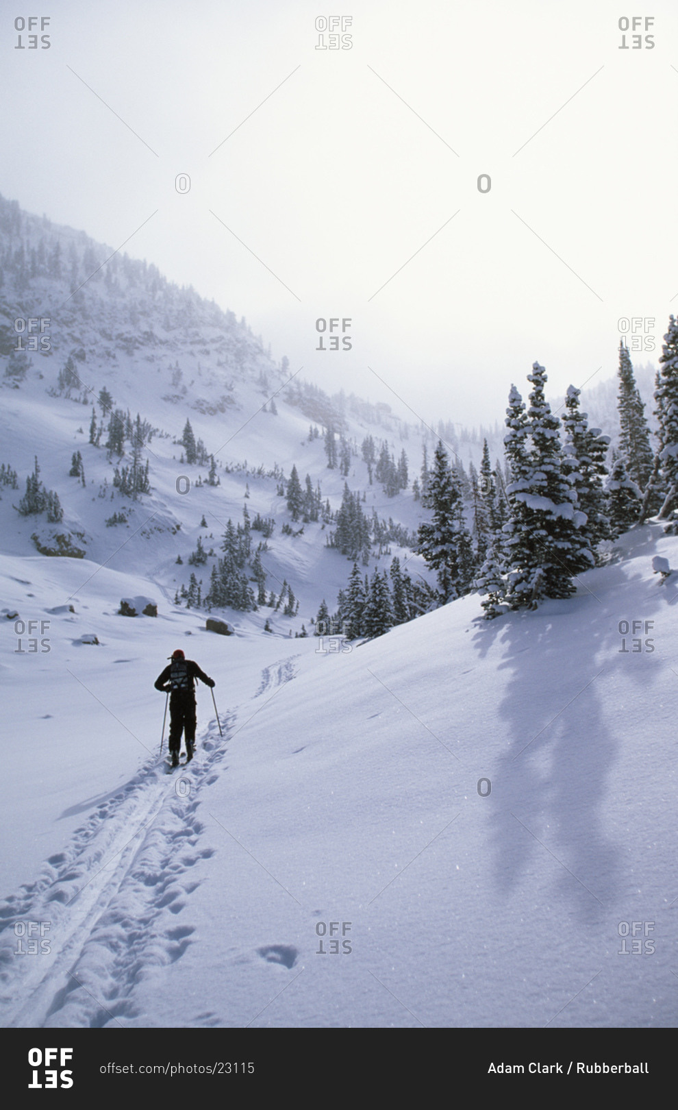 Rear view of person cross country skiing in winter on mountain trail