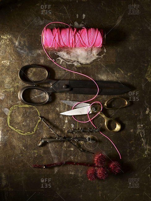 Still life of vintage scissors, a spool of pink thread, rose