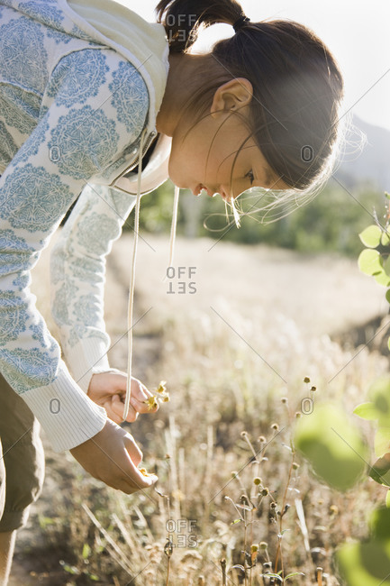 girl picking flowers in the wilderness