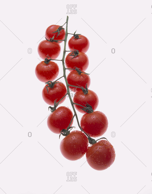 Bunch of wet cherry tomatoes overhead