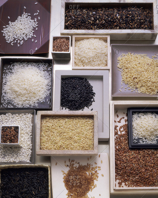 Different types of rice overhead