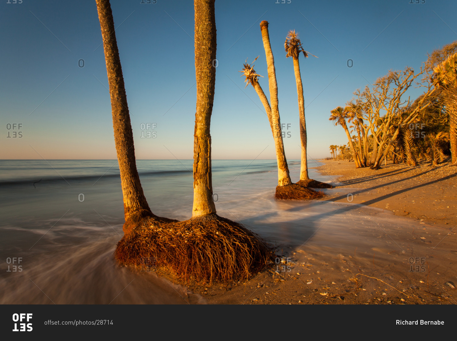 Beach erosion, Botany Bay Wildlife Management Area, Edisto Island, South Carolina stock photo