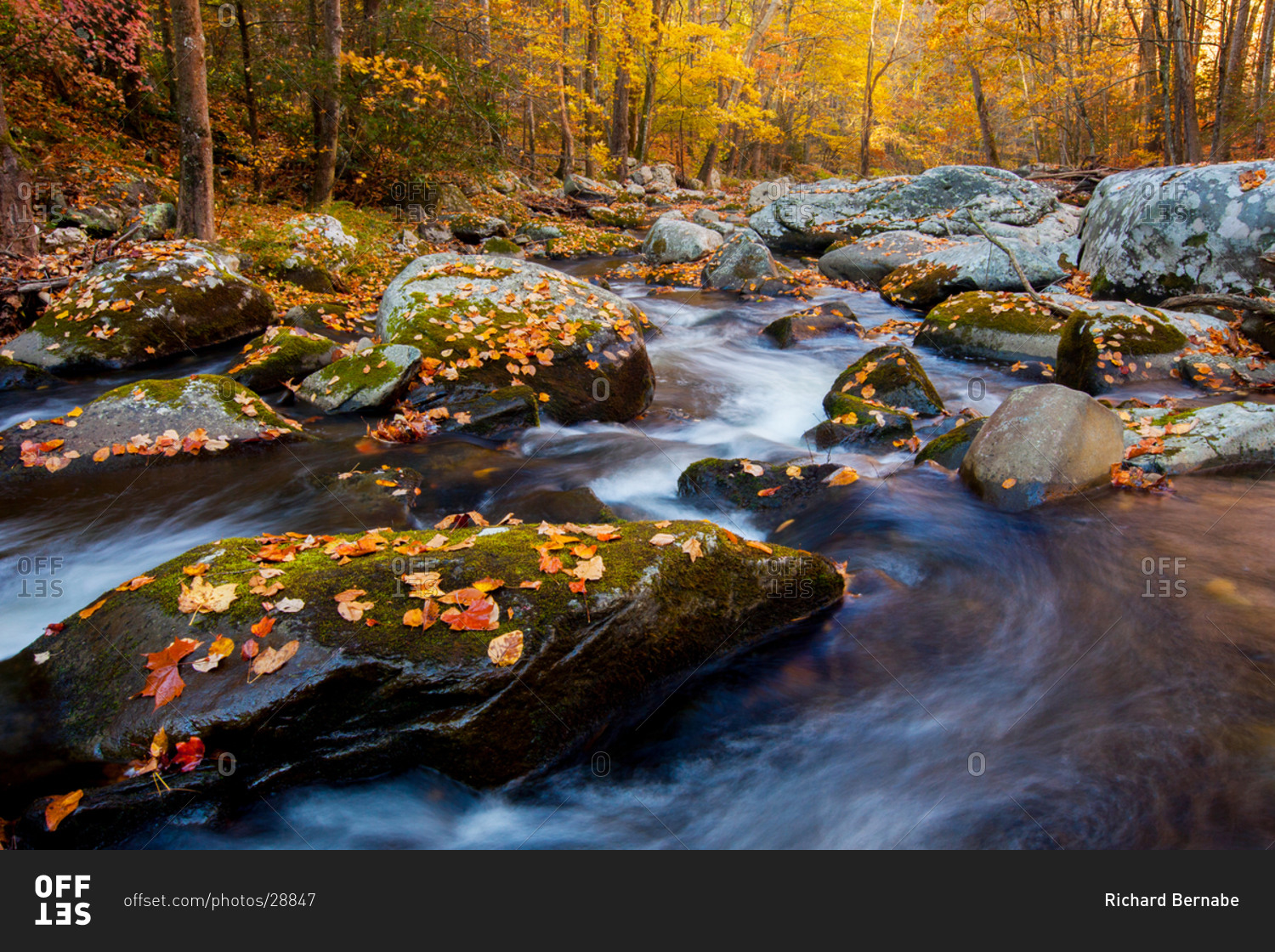 Autumn on the Middle Prong of the Little River (Tremont) in Great Smoky