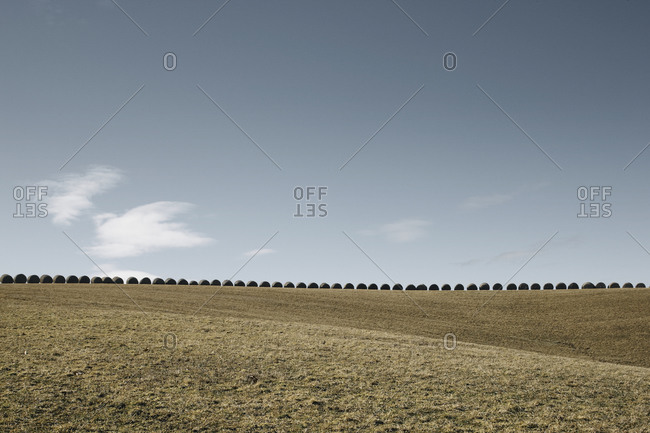 Field of round hay bales