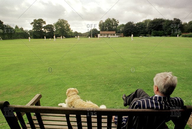 Senior Man And Dog Relax On Park Bench And Watch Cricket Match