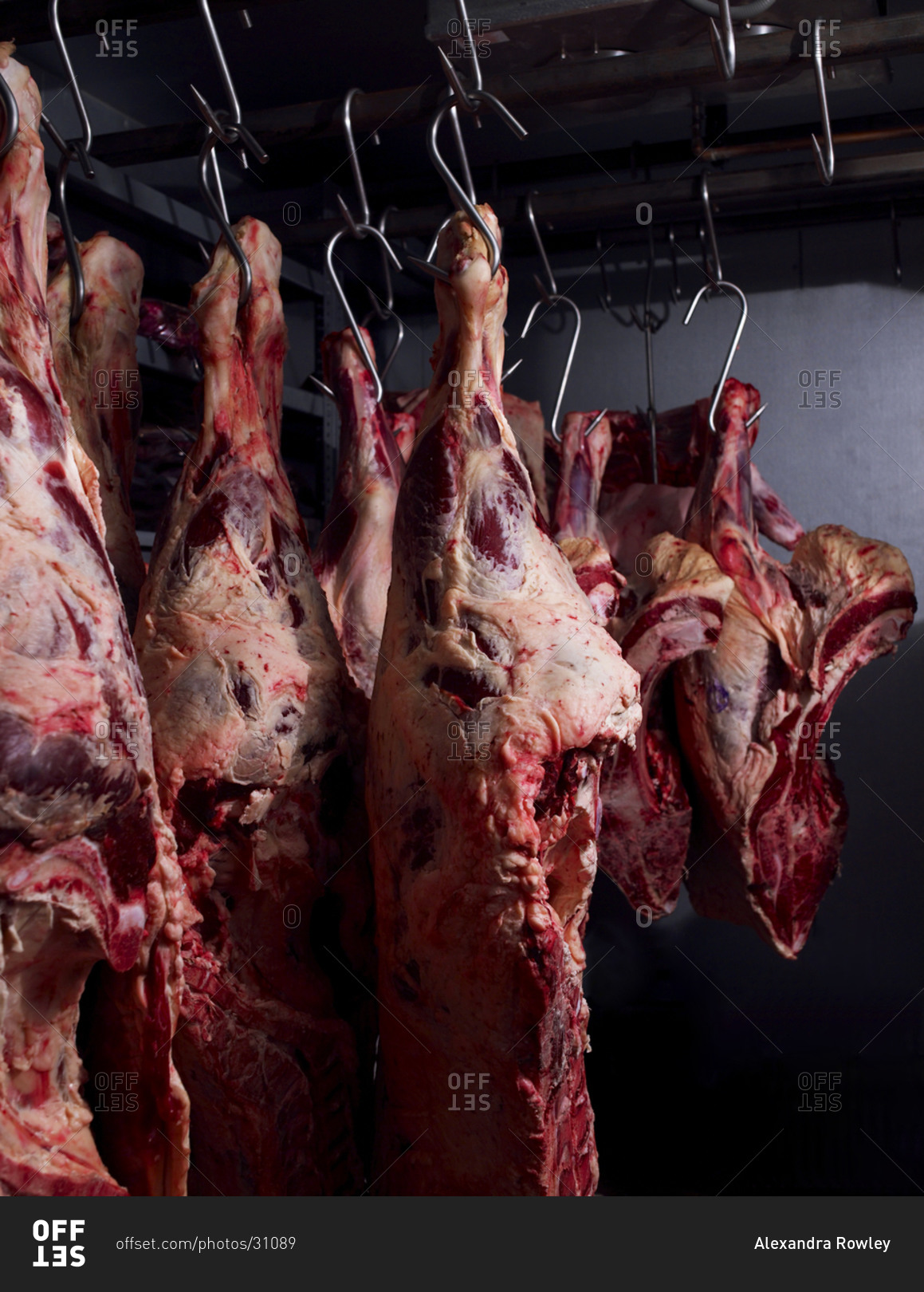 Fresh raw meat hanging on meat hook in slaughterhouse