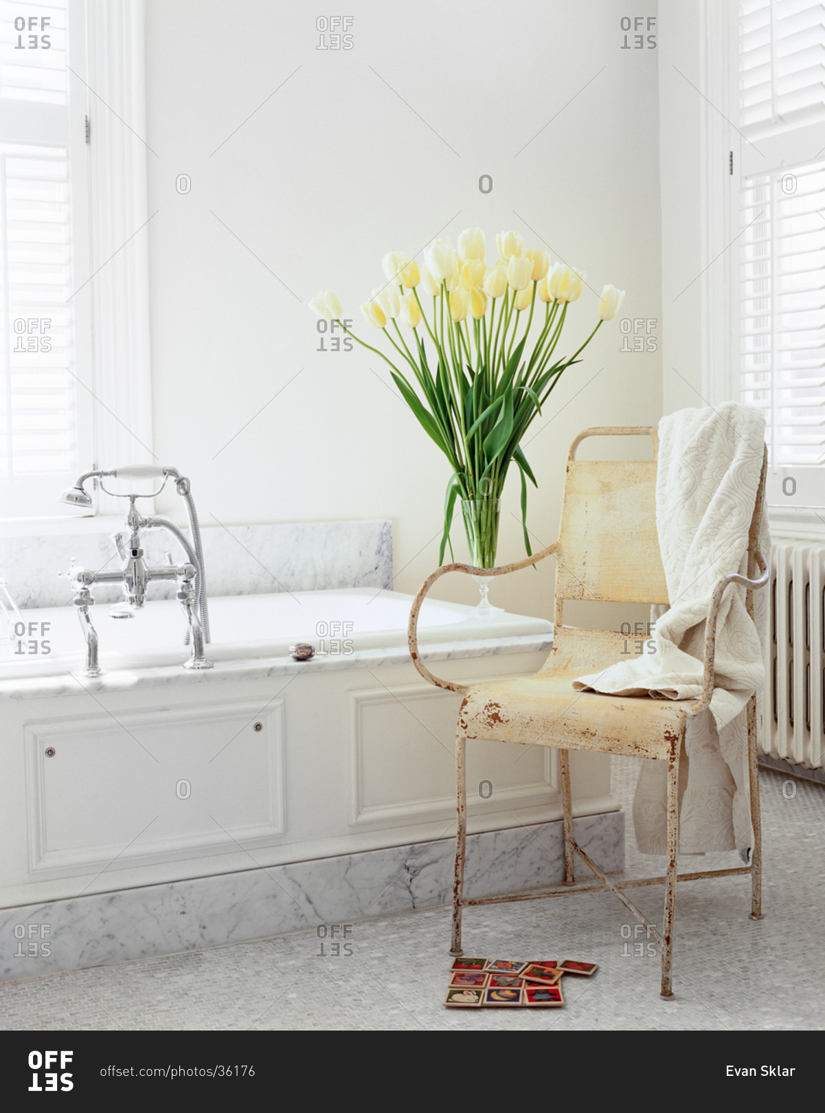 Modern shabby chic white bathroom with marble, white tulips and old garden chair