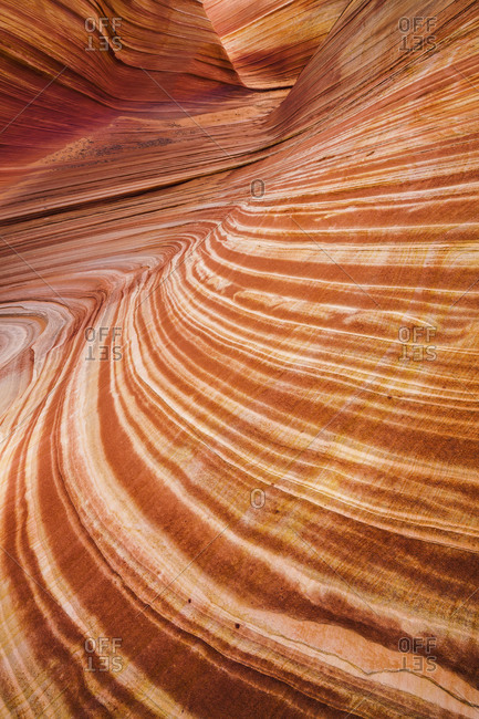 Swirling Sandstone, The Wave, Coyote Buttes North, Arizona
