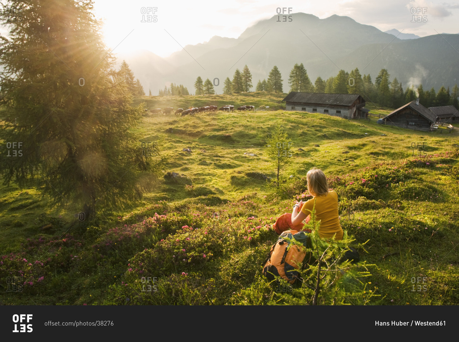 Austria, Salzburg County, Young woman sitting in alpine meadow and watching landscape