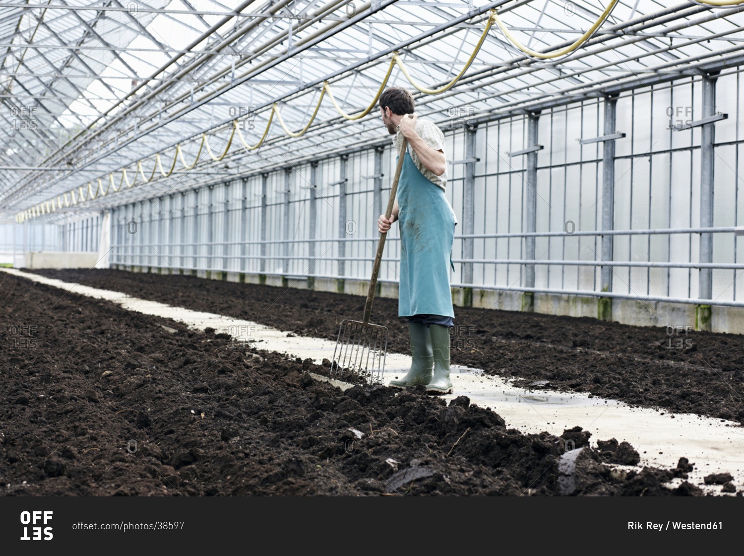 Germany, Bavaria, Munich, Mature man digging soil with garden fork in greenhouse
