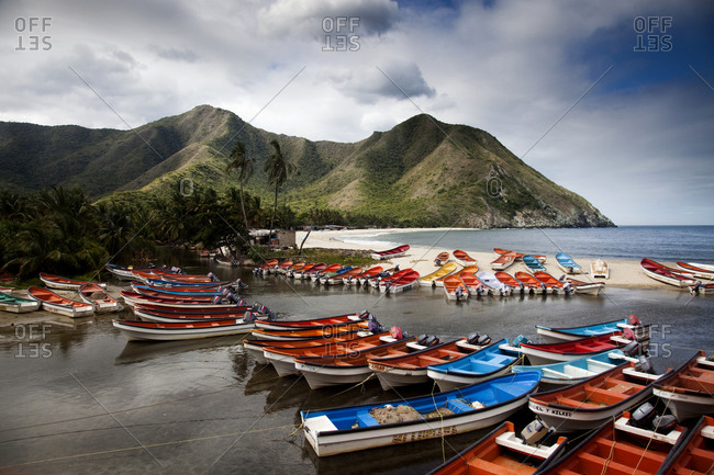 A fleet of colorful skiffs in a makeshift marina near the remote village of chuao, venezuela
