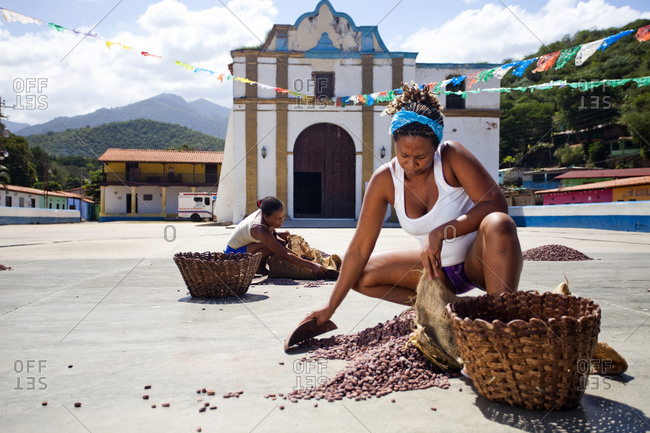 Two women rake cacao beans into a pile in front of the town church in the small, remote village of chuao, venezuela