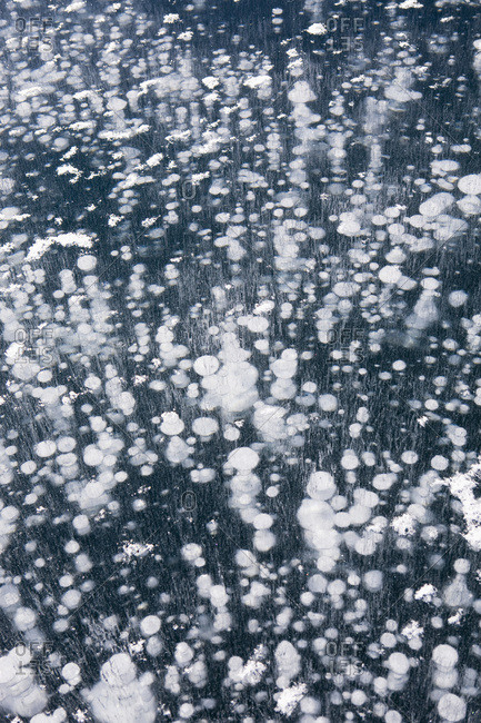 Close up of the pattern of frozen water bubbles in a frozen mountain lake; alberta canada