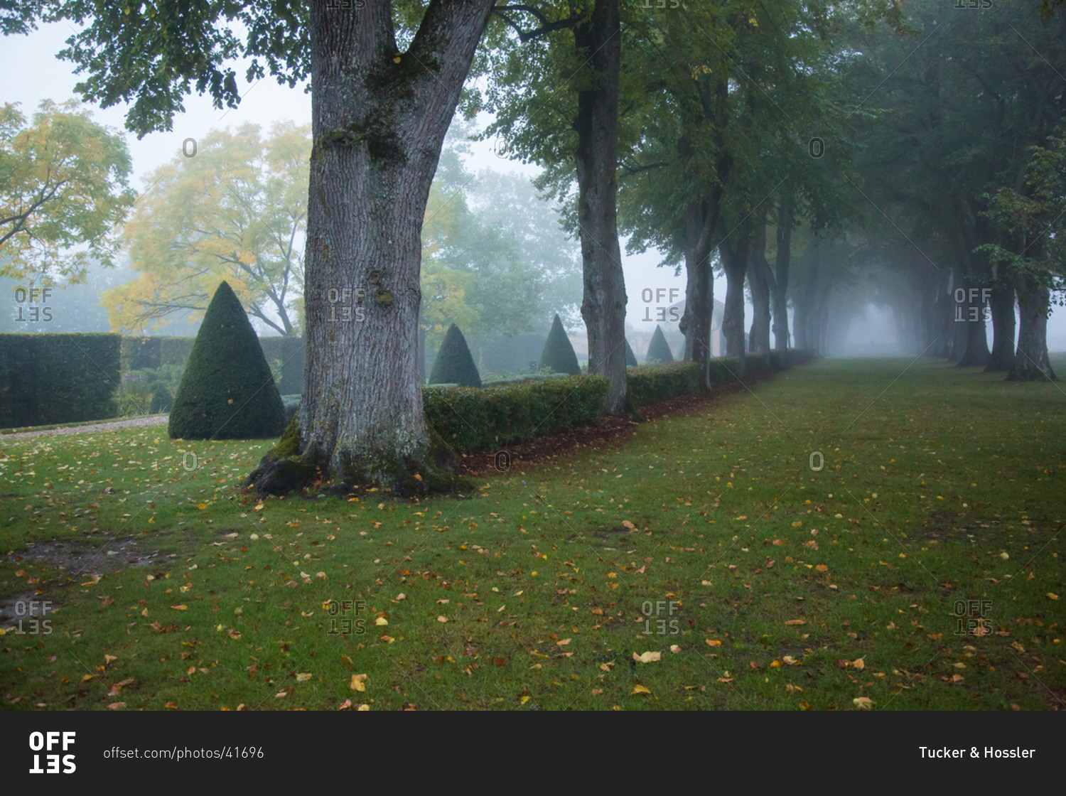 Chateau garden in foggy weather