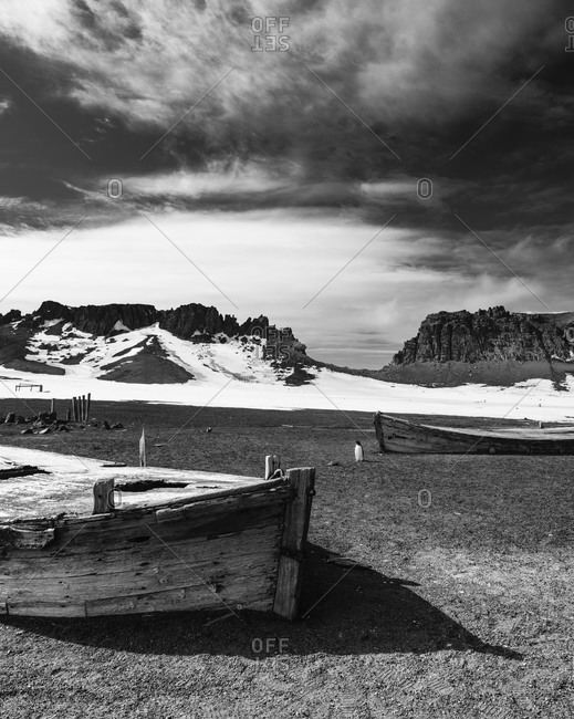 Penguin standing next to an old abandoned boat in Antarctica