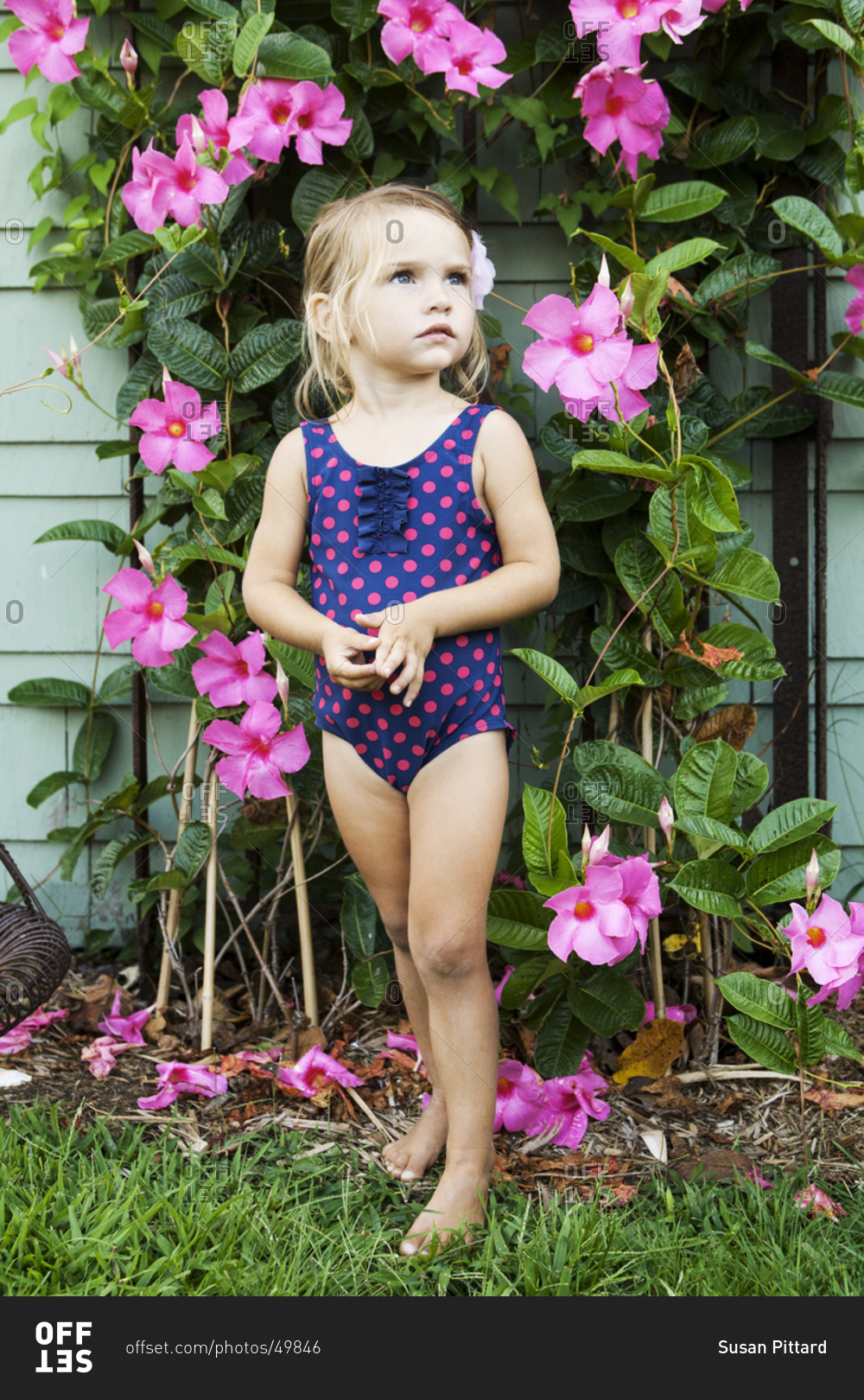 Cute blonde little girl posing in front of pink flowers.